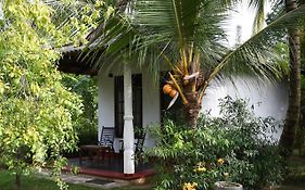 Bay Hill Guest House